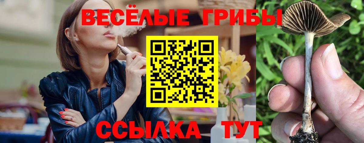 Фролово  Псилоцибиновые грибы ЛСД  Вход с VPN 